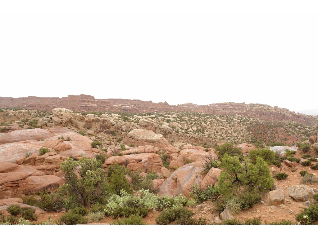 Arches National Park